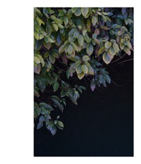 2980823