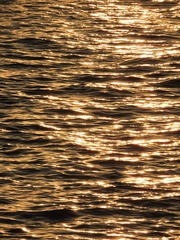 8FBE49E5-F26C-42B7-9598-715F6B13C3B5/L0/001