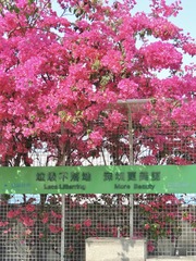 EB4ABB53-5A46-427E-9D74-71B6F0BE9159/L0/001