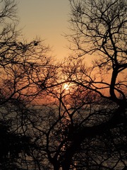 04AF6952-7C9B-42C2-91C5-514DD98CE059/L0/001