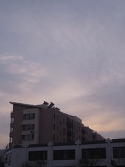 2554326