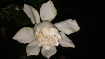 1105358