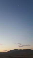 118332