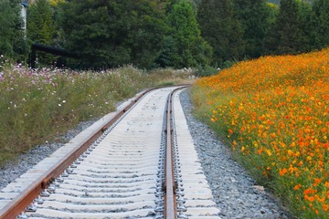 236706