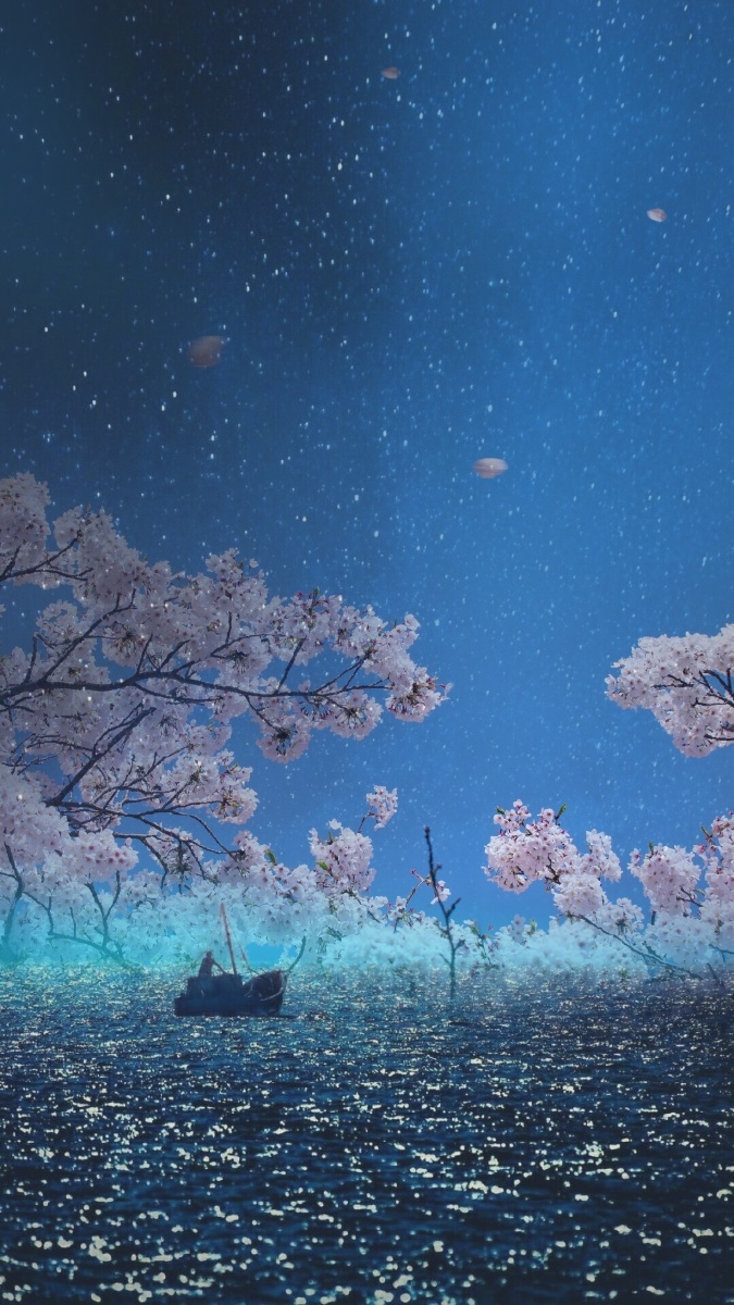 我漫步于星空花海