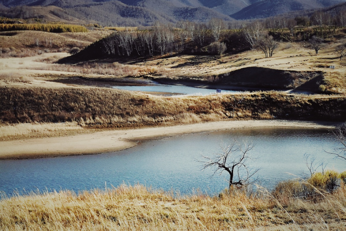 想起一个蒙语词杭盖意思是一个有着蓝天白云草原河流山和树林的世界真