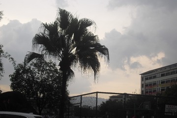 A1D06D35-E00B-40FA-887B-80E2078B5DD7/L0/001