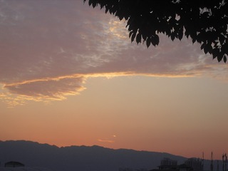AE57E0AD-8E26-42D2-8E65-63B543F828C3/L0/001