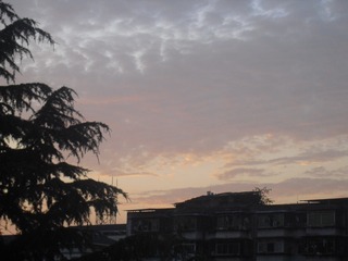 0DCA378C-1D3A-4A7D-B567-E280F182D98B/L0/001