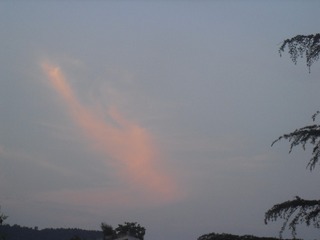 3EFAD8AD-99FE-4790-A2F1-9160AE3F956C/L0/001