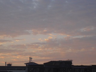 BA0D2A5B-808C-457A-B3C4-978412ED0128/L0/001