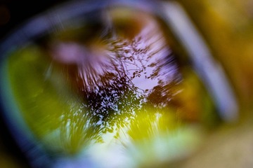 AB2D77F7-449D-420C-AC7C-070F3DC4779C/L0/001