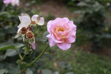 30F57DB0-DFC6-4F3E-95AF-D251A2BD5FB4/L0/001