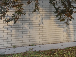 3638974