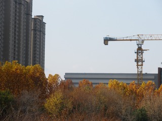 3632096