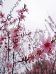 AE0480FB-7E72-482F-9300-FFFAB63E16E9/L0/001