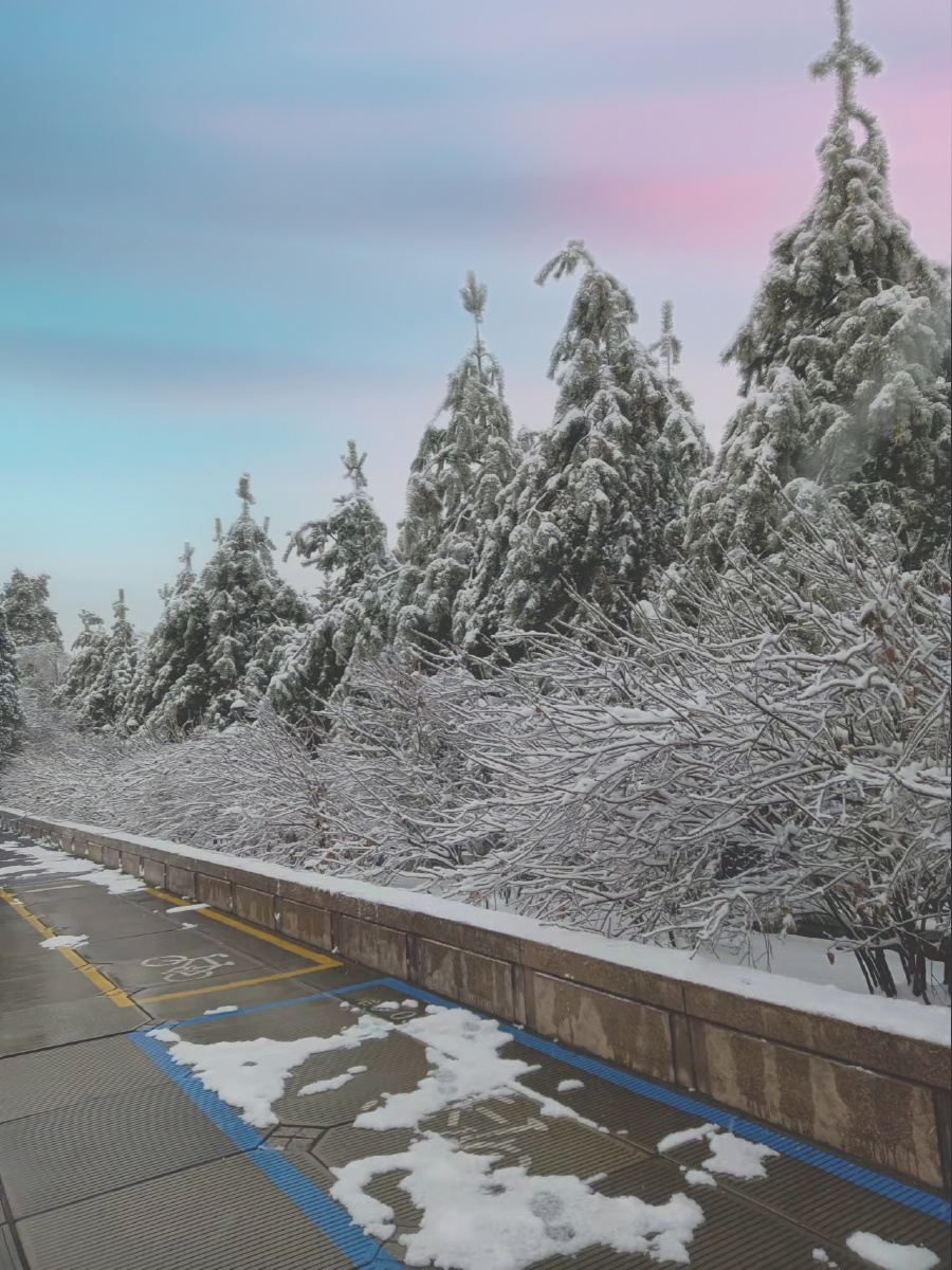 东北下雪啦