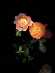 4860E328-FACC-48C0-A876-ABD92EFCCEB8/L0/001