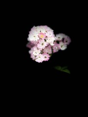 CB41A4CB-9CB4-4752-9513-BD392A970C58/L0/001