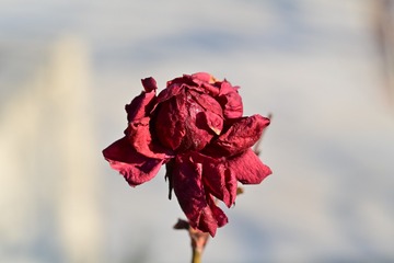 104658