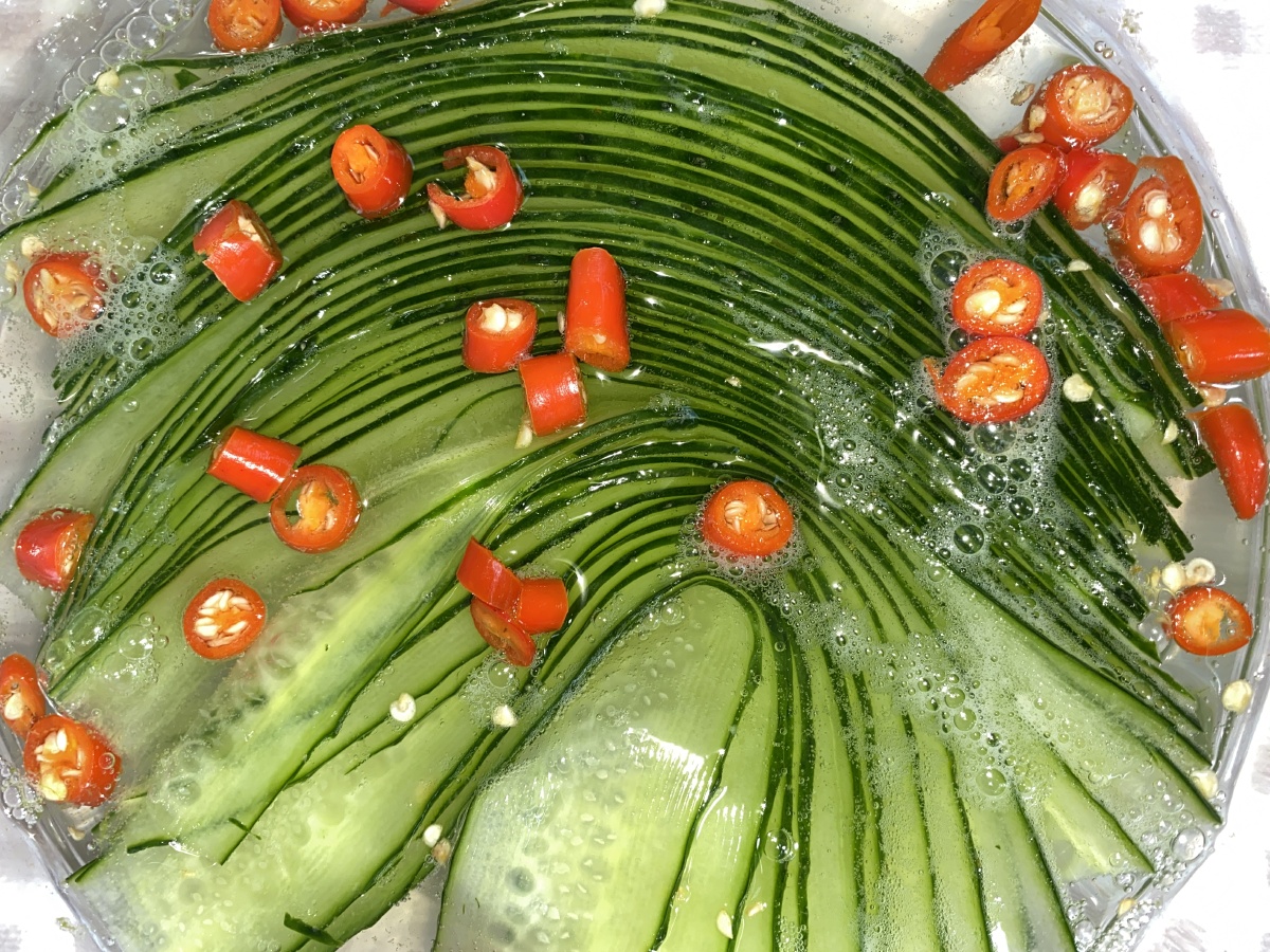 雪碧黄瓜 - 是芒果果 - 图虫