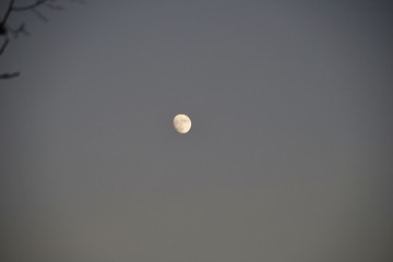 17429773-9FAD-4ECF-9B25-46B8ECFE119D/L0/001