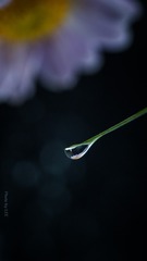2282028