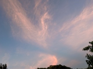 7D9BB0AE-0385-422F-A2DB-ED49FEC6D63D/L0/001