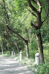 26C2E55B-184A-4D5A-ACEB-3CCDBB7E318F/L0/001