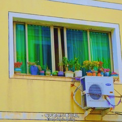 B8FF3795-2D16-4653-AC35-8B190B39BD45/L0/001