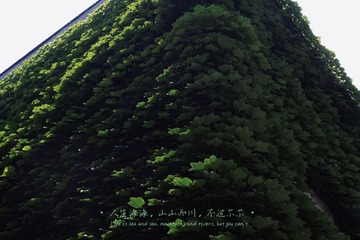 49D04F6E-15F8-4EEE-8908-36E6781FA804/L0/001