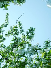 326B5135-375E-45B6-A904-B9237A491EE6/L0/001