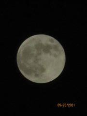 F7183936-D6F8-42BA-8400-9A731D6CF3D5/L0/001