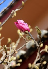 C93BB006-1CBF-431C-9737-794AB8BFB2B0/L0/001