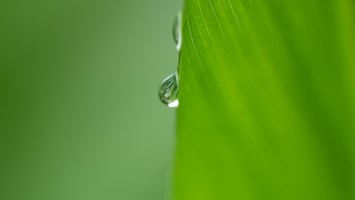 一滴水眼里的世界