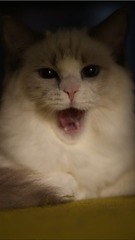 286491