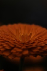 117860
