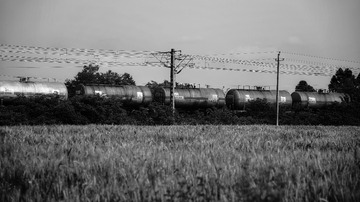 229639