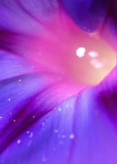 C1249B0C-D1D5-4C92-96CC-26CFF502D583/L0/001