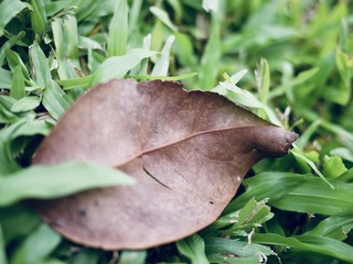 79B0C127-CD10-4A10-9E59-CF0F38B7A367/L0/001
