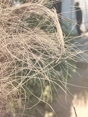 1000022598