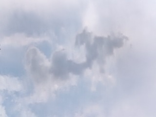 1000040056