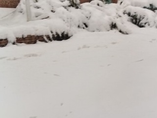 1000035883
