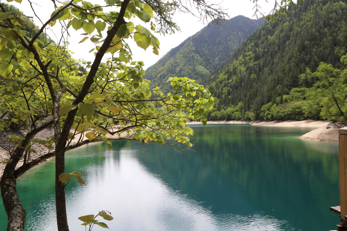 四川省九寨沟风景区之七水的媚力