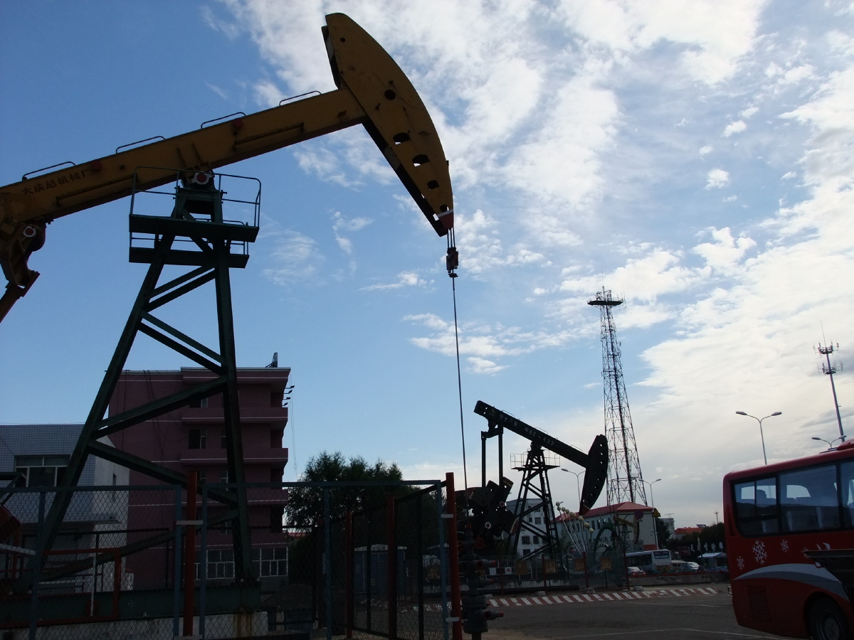 大庆石油城和齐齐哈尔照片