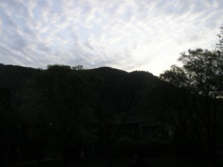 5E3FEB11-0B45-4CC5-82CA-EA6F1651BD0F/L0/001