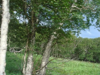 B1E90788-6229-4614-B94A-93997AAC5DA0/L0/001