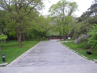 2A19AC0C-583A-440B-8C29-28EC0D732D86/L0/001
