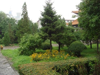A4BBCD1E-18BB-497C-AF3C-237E770B74F9/L0/001