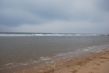 A21727BB-95A7-41C6-B8FA-F2670450E43D/L0/001